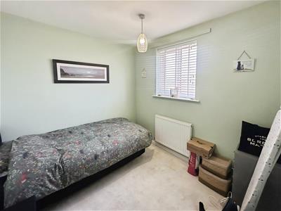 Picture 14
